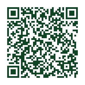 QR code donation