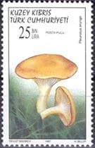 This mushroom on a stamp