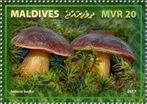 Pilz auf Briefmarke
