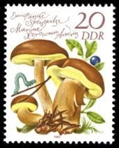 Pilz auf Briefmarke
