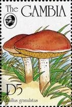 This mushroom on a stamp