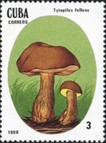 A gomba bélyegen