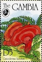 Pilz auf Briefmarke