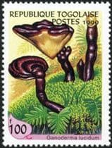 Pilz auf Briefmarke