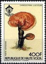 Pilz auf Briefmarke