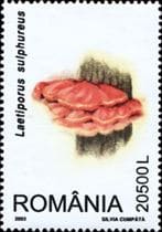 A gomba bélyegen
