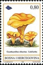 Pilz auf Briefmarke