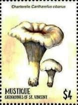 Pilz auf Briefmarke