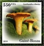 Pilz auf Briefmarke