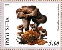 A gomba bélyegen