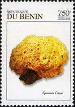 Pilz auf Briefmarke