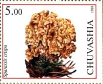 Pilz auf Briefmarke