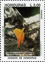 Pilz auf Briefmarke