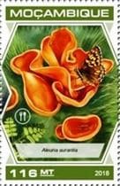 Pilz auf Briefmarke