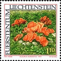 Pilz auf Briefmarke
