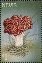 Pilz auf Briefmarke