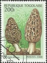 This mushroom on a stamp