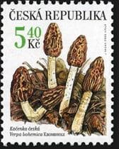 Pilz auf Briefmarke