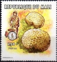 This mushroom on a stamp