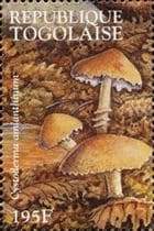 This mushroom on a stamp