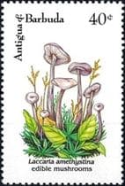 This mushroom on a stamp