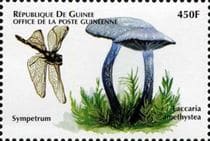 This mushroom on a stamp