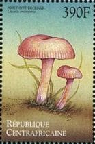 This mushroom on a stamp