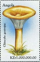 Pilz auf Briefmarke