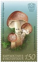 This mushroom on a stamp