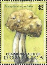 Pilz auf Briefmarke