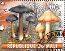 Pilz auf Briefmarke
