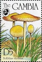 Pilz auf Briefmarke