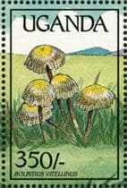 Pilz auf Briefmarke