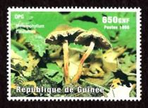 Pilz auf Briefmarke
