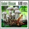 This mushroom on a stamp