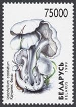 This mushroom on a stamp