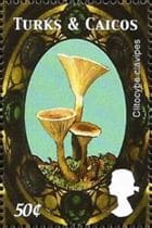 This mushroom on a stamp