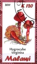 Pilz auf Briefmarke