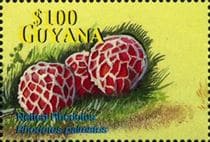 Pilz auf Briefmarke