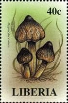 This mushroom on a stamp