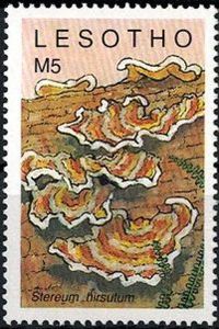 Pilz auf Briefmarke