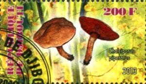 This mushroom on a stamp