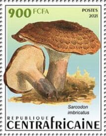 Pilz auf Briefmarke
