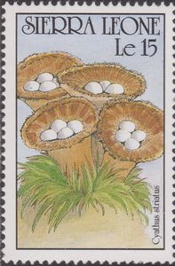 A gomba bélyegen