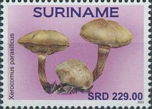 Pilz auf Briefmarke