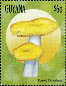 Pilz auf Briefmarke