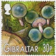 This mushroom on a stamp