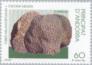 This mushroom on a stamp