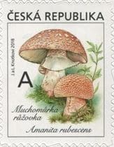 This mushroom on a stamp