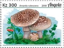 This mushroom on a stamp